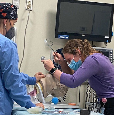 Katherin Pavlos, APP fellow, on the left, performs an intubation using simulation equipment. Jennifer King Wilson, MSN, AGACNP, CRNA, stands to the left.