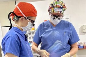 Dr. Heather Schopper and Dr. Jessyka Lighthall, in surgical caps, masks, gloves and eyewear, look down while working on a surgery.